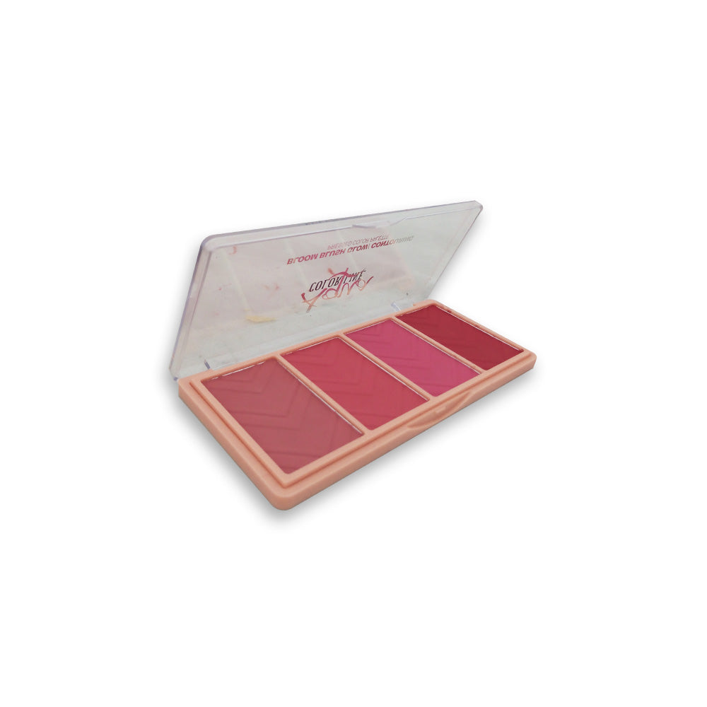 Aqua Color Line Bloom Blusher Glow & Contouring Kit