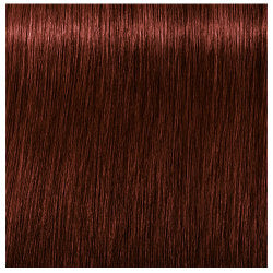 Schwarzkopf Igora Royal Absolutes Hair Colors