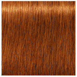 Schwarzkopf Igora Royal Absolutes Hair Colors