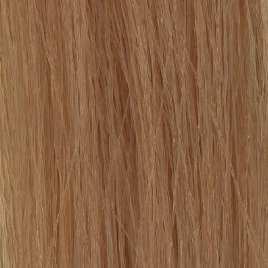 Framesi Framcolor Hair Coloring Cream 2001 Precious Wood Series