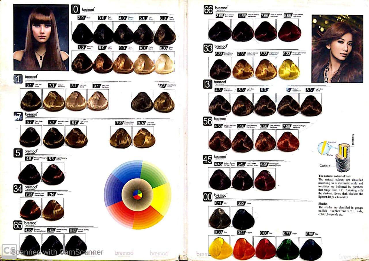 BREMOD Hair Color