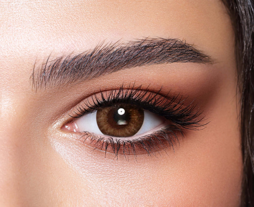 Bella Lens Almond Brown One Day Collection