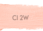 Color Institute Foundation Stick