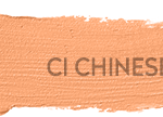 Color Institute Foundation Stick