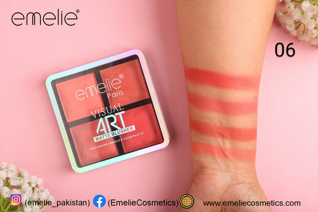 Emelie Visual Art Matte Blusher 4 Color Palette