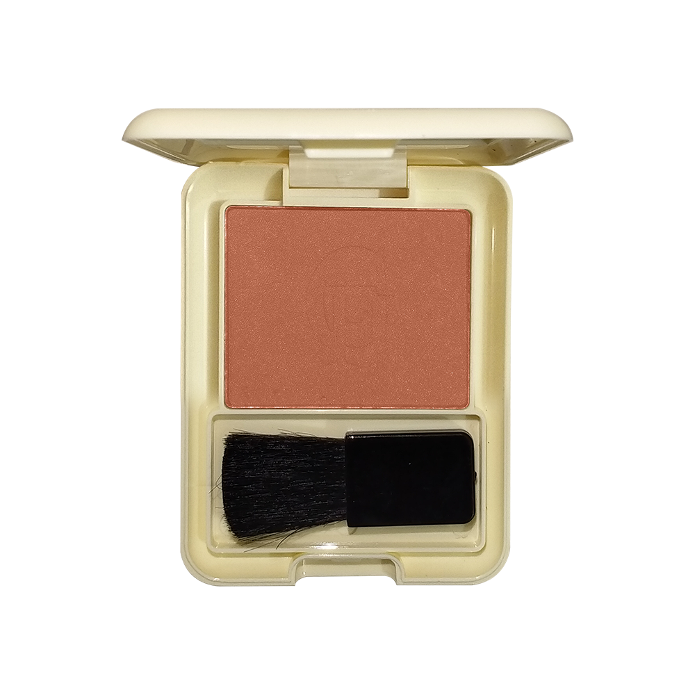 Glamorous Face Professional Matte Blushon Single