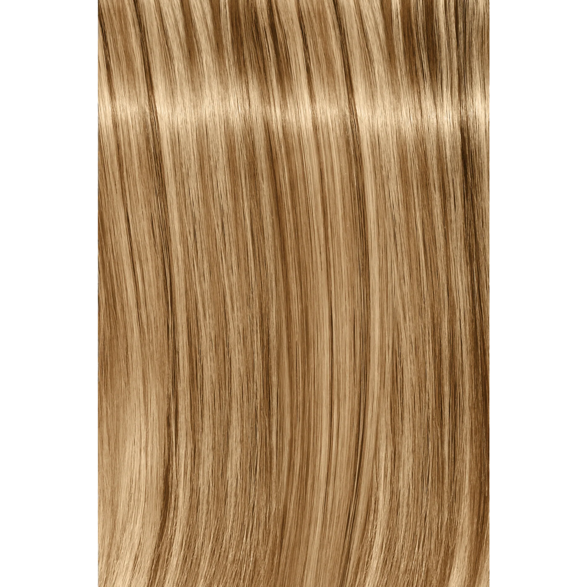 Schwarzkopf Igora Royal Fashion Light Hair Colors