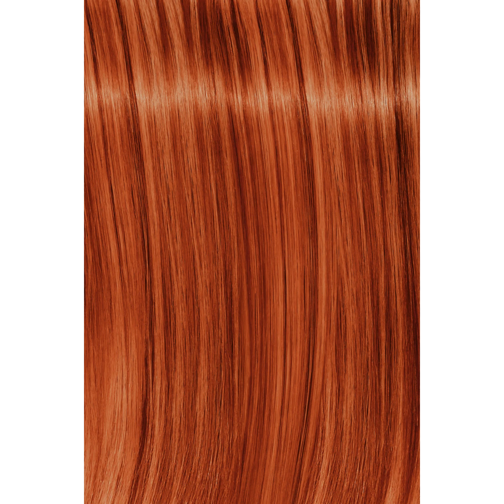 Schwarzkopf Igora Royal Fashion Light Hair Colors