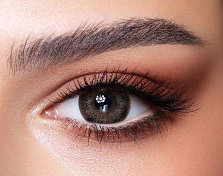 Bella Lens Ash Brown One Day Collection